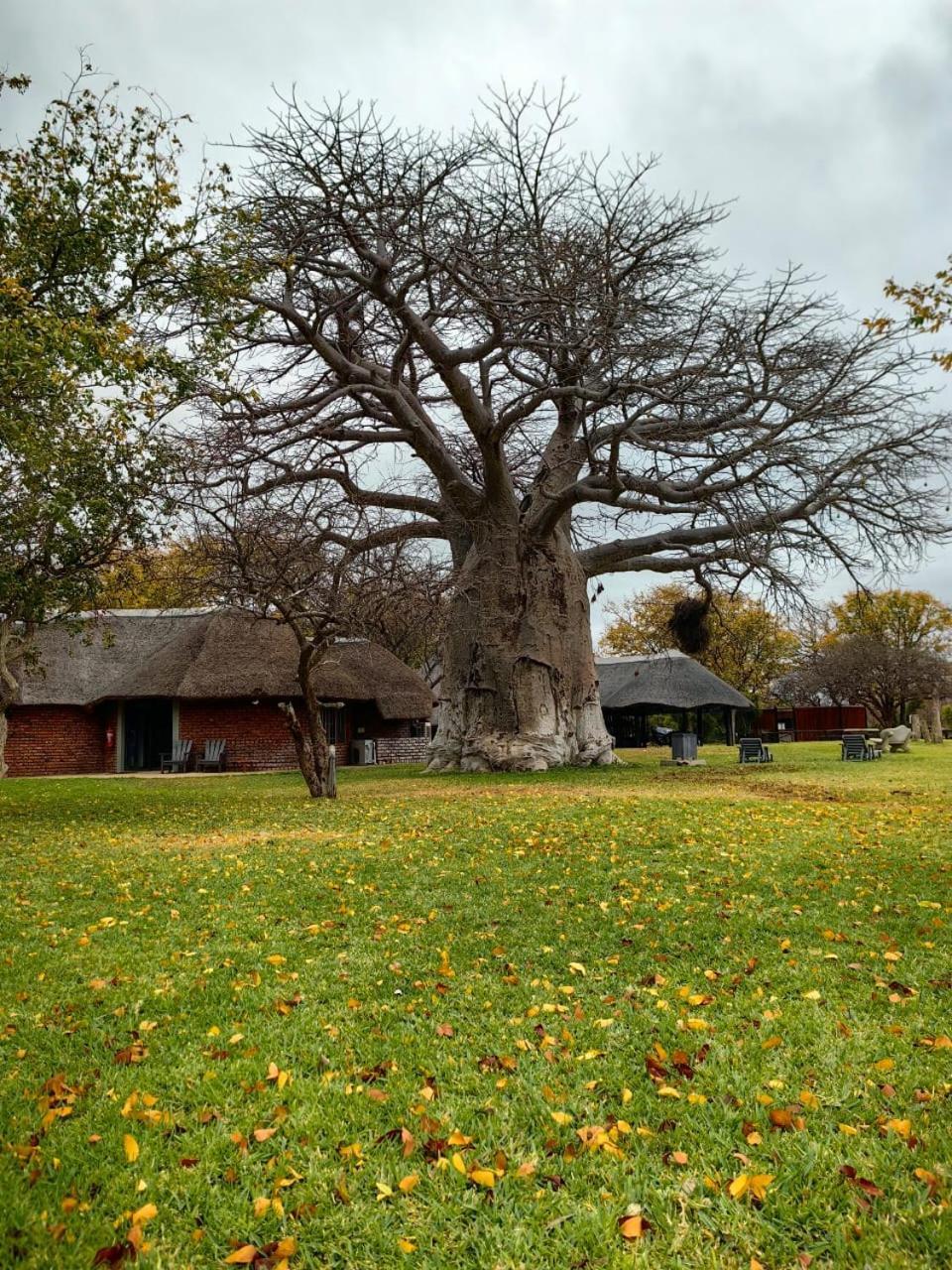 Munati B&B Musina Exterior photo