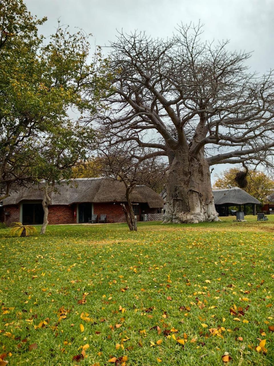 Munati B&B Musina Exterior photo